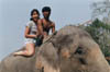 elephant-ride